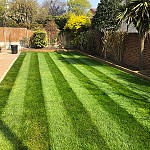Lawn Re Turfing Hendon North London