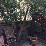 Gardening design services archway n19 london 3
