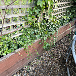 Replacement timber borders whetstone 1